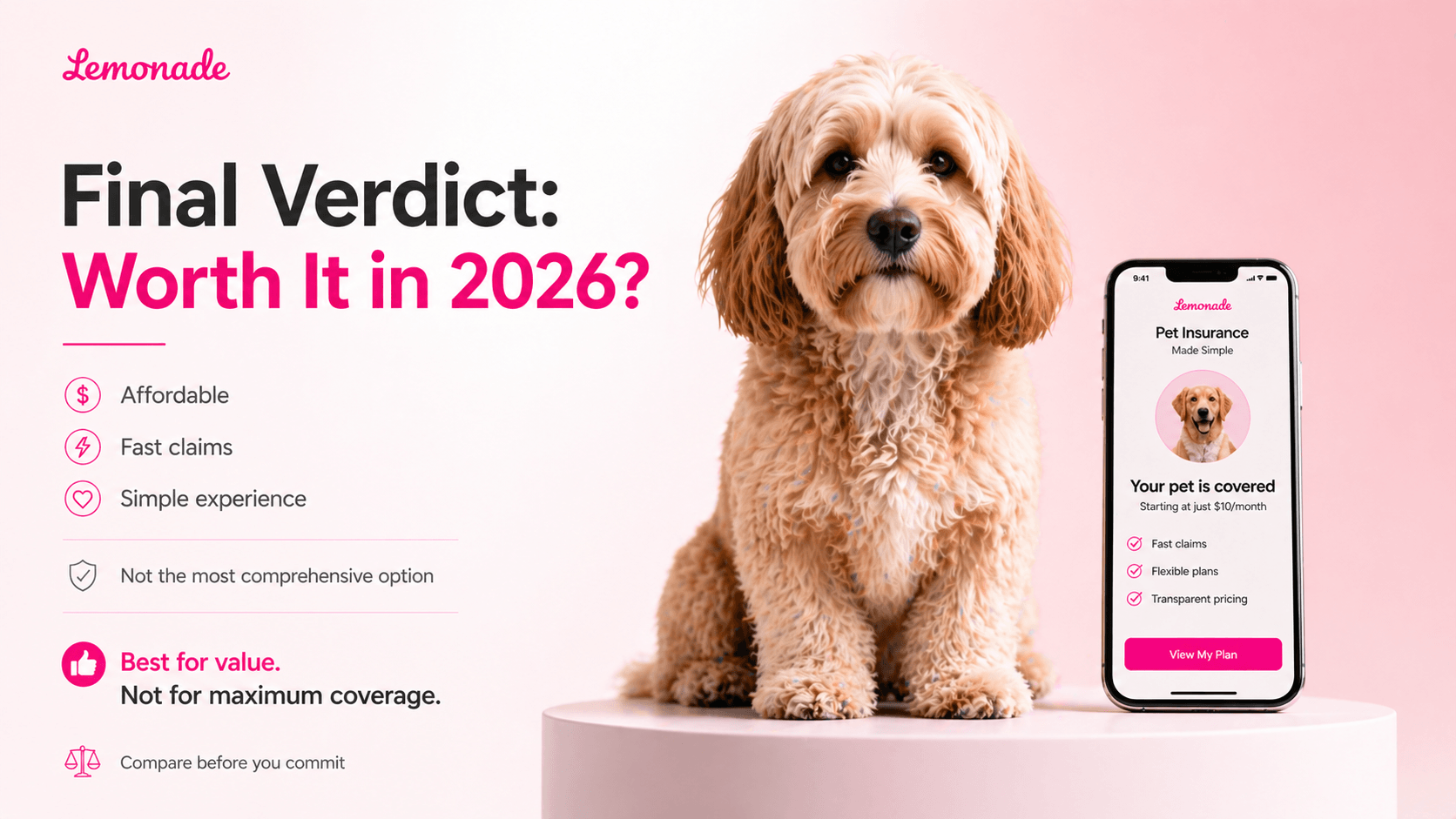 lemonade-pet-insurance-img-10