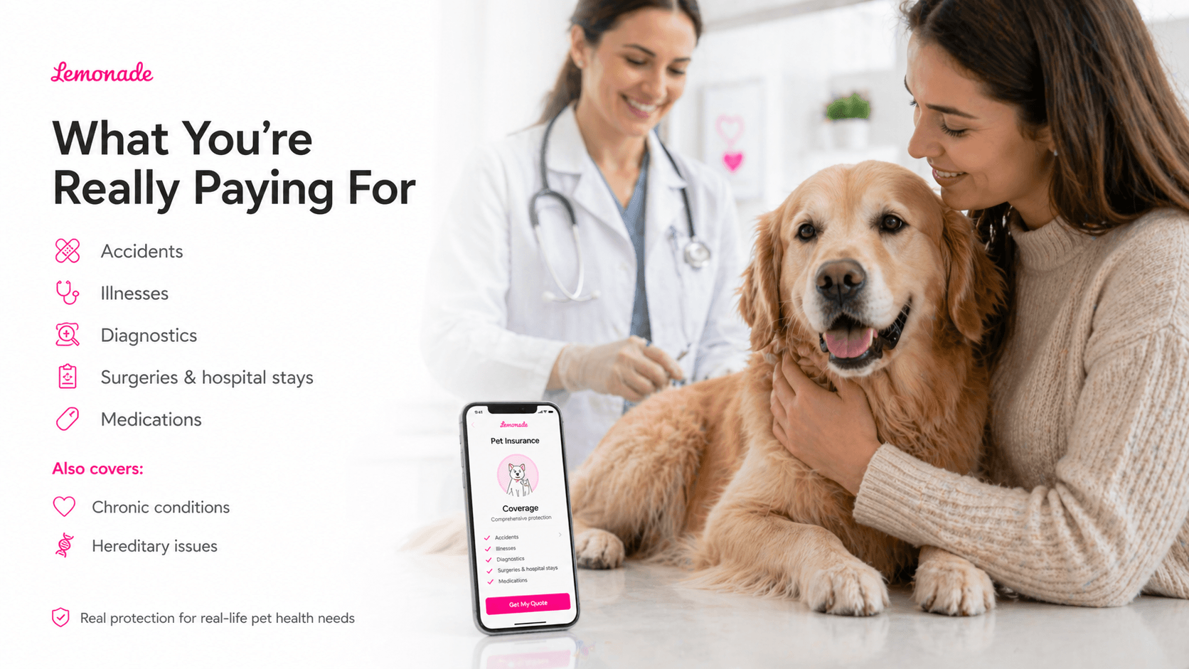 lemonade-pet-insurance-img-4