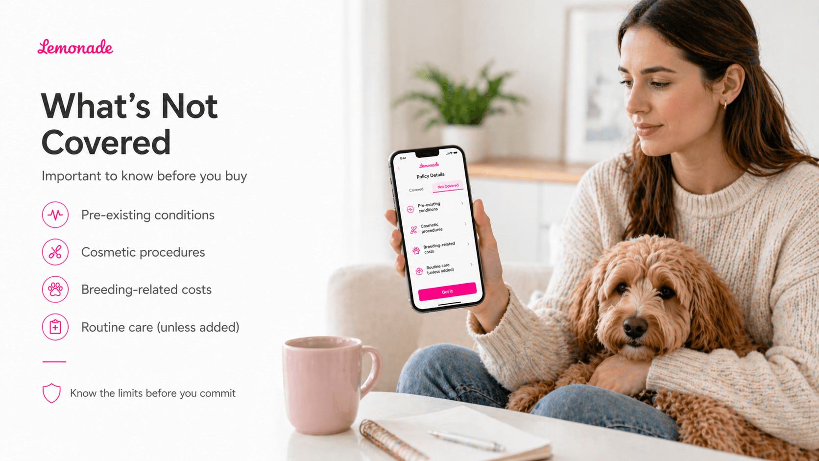 lemonade-pet-insurance-img-6