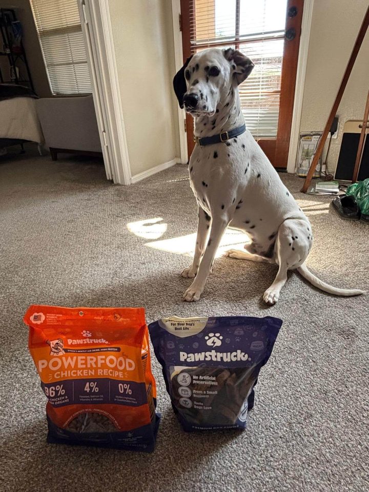 pawstruck-img-1