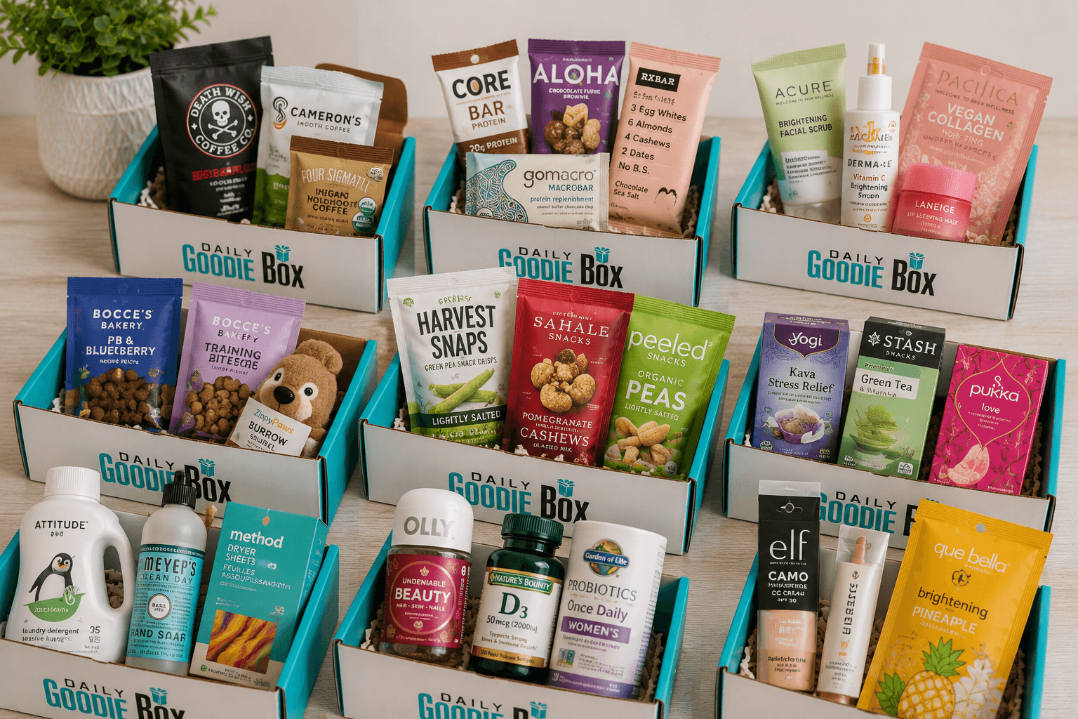 daily-goodie-box-img-3